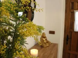 Alojamiento turistico LaVid