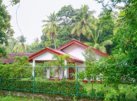 Villa Ravichini，位于波隆纳鲁沃的住宿加早餐旅馆