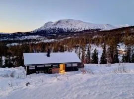 Sveheim - cabin with an amazing view
