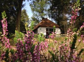 Tiny House de Berken，位于奥特罗的酒店