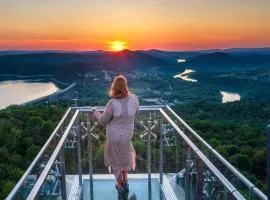 Apartamenty i Pokoje Gościnne nad Soliną Drozdówka