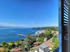 Appartement avec vue 180 sur le Lac Léman，位于托农莱班的公寓