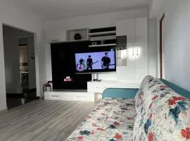 Apartament Teo Ultracentral