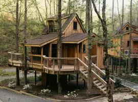 The Poplar in Treehouse Grove at Norton Creek