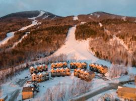 Chalets Grande-Pointe au Massif de Charlevoix -Vélos - Rando -ski-in ski-out，位于圣弗朗索瓦小河的酒店