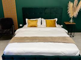 Garsoniera moderna One bedroom，位于Turnu Măgurele的带停车场的酒店