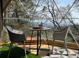 Glamping Dome 1 - 10 minutes from Kings Canyon，位于Dunlap的豪华帐篷