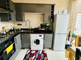 The Great Falcon Accommodation