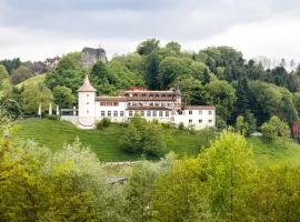 Klein Rigi，位于Schönenberg的酒店