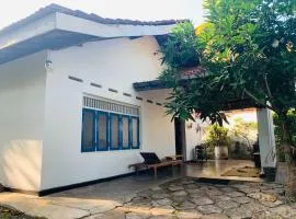 Buddha's house in the middle of a garden oasis