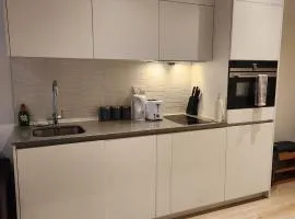 Nice Apartment Close to Ilford Station , NETFLIX AND WI-FI FREE