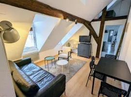 Appartement des Serruriers