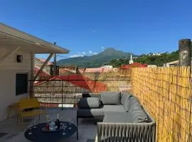 Maison Bernabet - Rooftop avec vue sur la Montagne Pelée