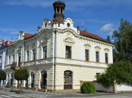 Penzion Věžička，位于别洛赫拉德矿泉村的民宿