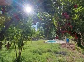 Cabaña en barreal