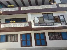 OYO Home Tirthan Crest Hostel & Homestay in Jibbi