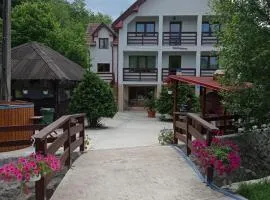 Pensiunea Valea Toplitei