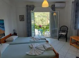 Teo apartment Anthousa Parga