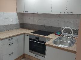 DAR-KAJ MIESZKANIE nr 1，位于Radzyń Chełmiński的酒店