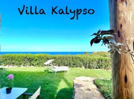 Villa Kalypso - Porto Cervo，位于切尔沃港的酒店
