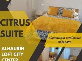 Citrus Suite by Alhaurín Loft City Center