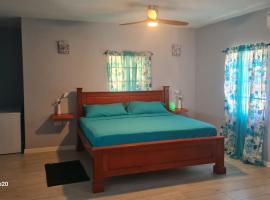 Coconut Creek Deluxe Suite，位于Hyde Park的酒店