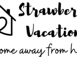 STRAWBERRY VACATIONS villa，位于潘奇加尼的酒店