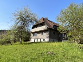 Gruppenhaus Baiersbronn LUG INS TAL，位于拜尔斯布龙的酒店