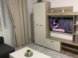 Apartament Elena