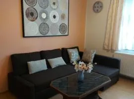 Apartmán Jáchymov Krušné hory