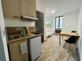 Studio rénové à 15 min de Lyon