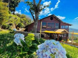 Casa 1800 Los Naranjos Boutique Hotel，位于Los Naranjos的酒店