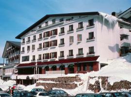 滋贺县钻石酒店，位于山之内町的Spa酒店