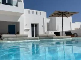 Depis Edem private villas naxos