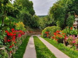 Agrifoglio B&B con giardino，位于阿里特佐的酒店