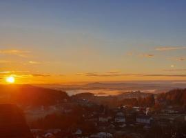 Apartment mit Bergblick，位于Fürstenstein的酒店