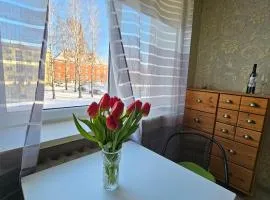 Narva City Hall Apartment