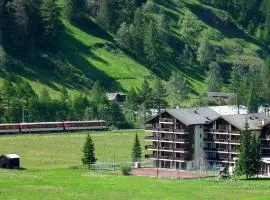 Monte Rosa Apartments Täsch