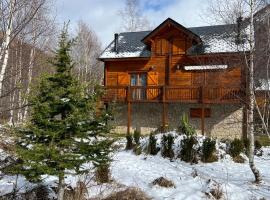 Chalet bois au coeur des Pyrénées ariégeoises，位于约斯皮塔莱普雷朗多尔的滑雪度假村