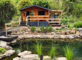 Tweed Hinterland Eco Cabin，位于Byangum的酒店