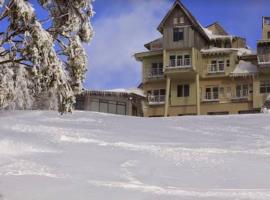 White Crystal 110 Ski in ski out，位于荷斯安山的酒店