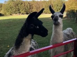 La Fermette Aux Lamas