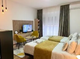 Apartmani Profesional Pajkovic