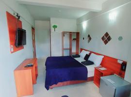 Madame Lynch Hotel Asuncion，位于亚松森的酒店