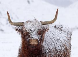 Ben Nevis Manor Lodge & Indoor Private Hot-Tub，位于威廉堡的度假短租房