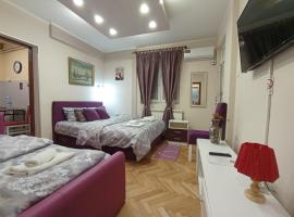 Apartments & Rooms -MDL Lazić，位于贝尔格莱德的酒店