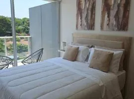 Hermoso Loft Asuncion