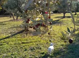 Studio indépendant dans Ferme Equestre