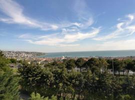 Private villa with an awesome sea view in Istanbul，位于大切克梅杰的酒店