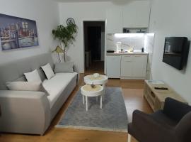 Apartman LISA，位于尼什的酒店